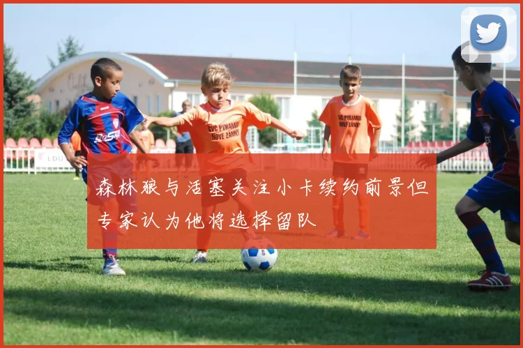 森林狼与活塞关注小卡续约前景但专家认为他将选择留队